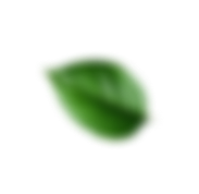 AlphaRock
