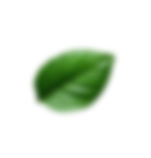 AlphaRock